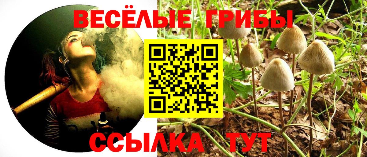 Псилоцибиновые грибы GOLDEN TEACHER Торжок