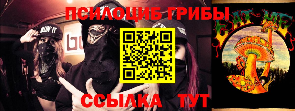 Торжок  Псилоцибиновые грибы прущие грибы  Вход с VPN 